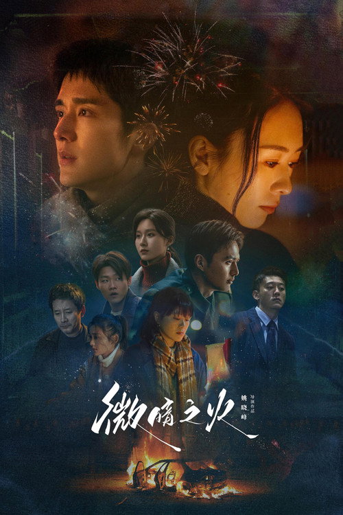 Póster de 微暗之火