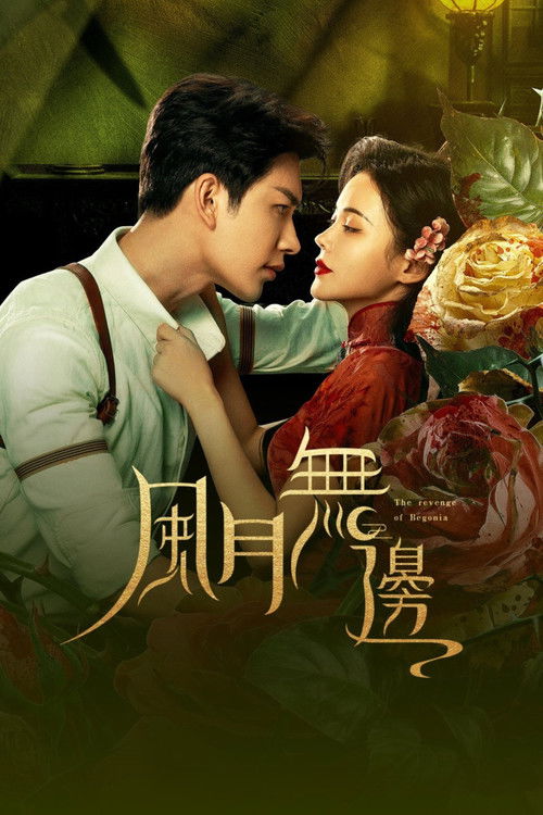 Póster de 风月无边