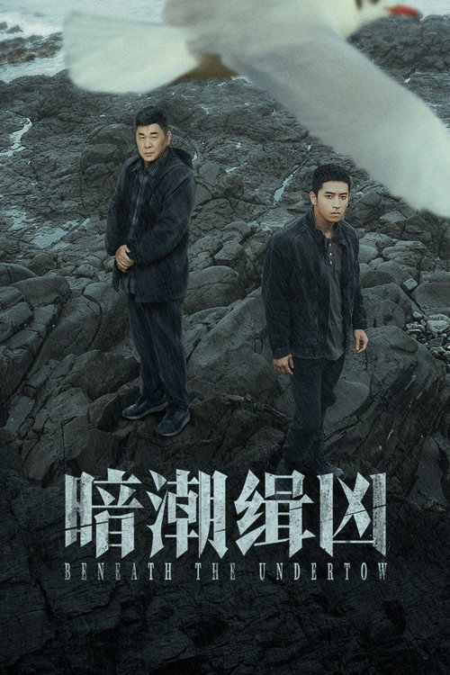Póster de 暗潮缉凶