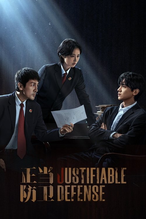 Póster de 正当防卫