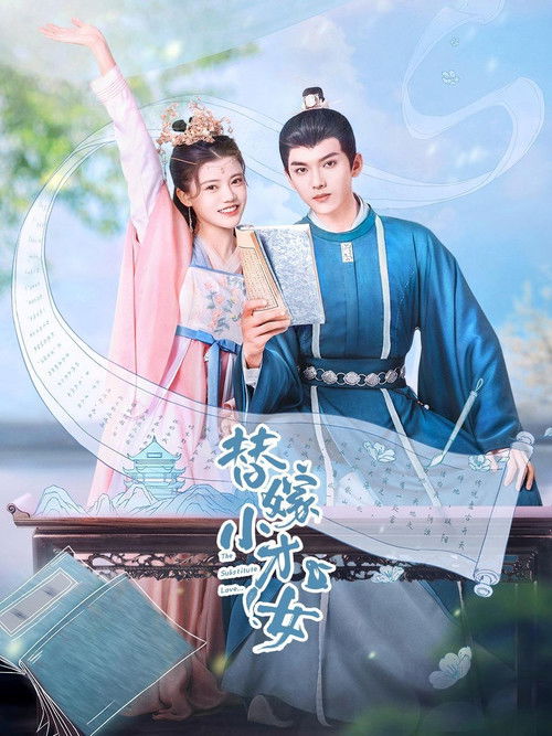 Póster de 替嫁小才女