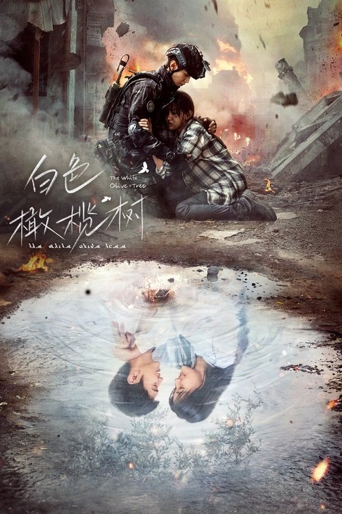 Póster de 白色橄榄树