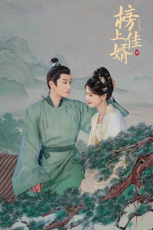 Póster de 榜上佳婿