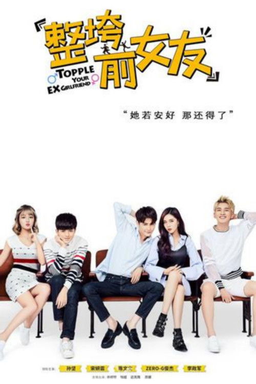 Póster de 整垮前女友