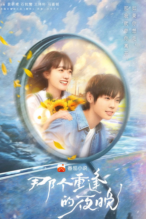 Póster de 那个重逢的夜晚
