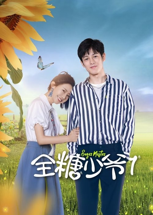 Póster de 全糖少爷