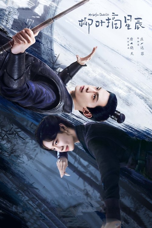 Póster de 柳叶摘星辰