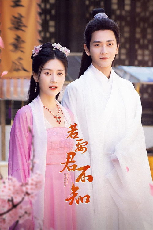 Póster de 若要君不知