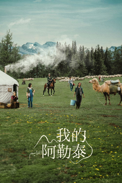 Póster de 我的阿勒泰