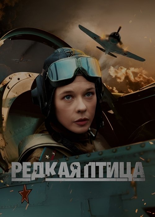 Póster de Редкая птица