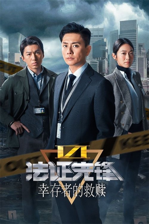 Póster de 法證先鋒