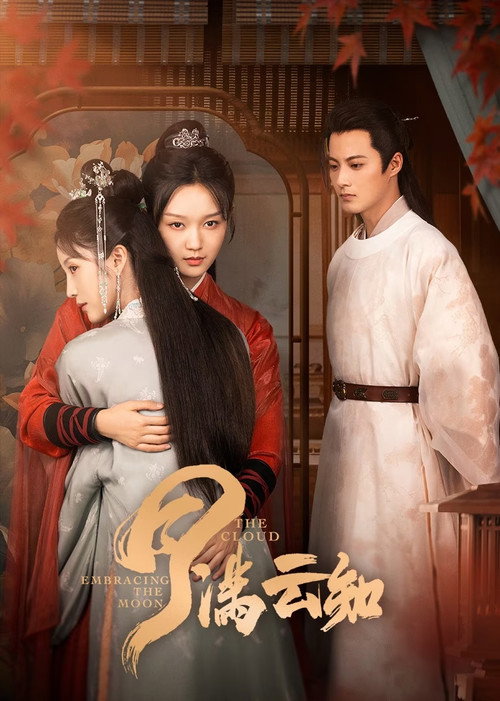 Póster de 月满云知