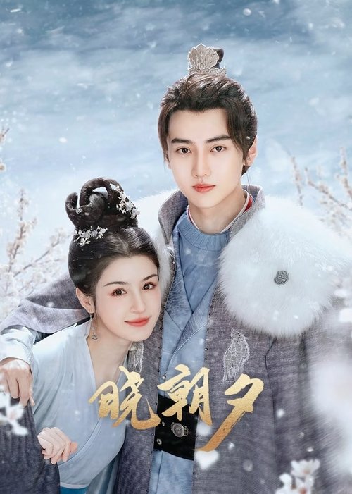Póster de 晓朝夕