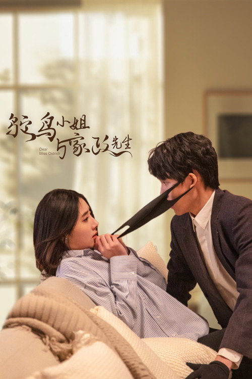 Póster de 鸵鸟小姐与家政先生