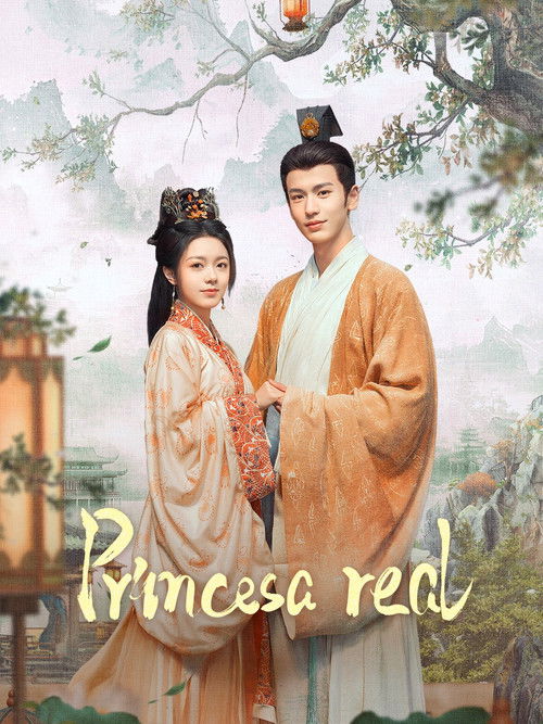 Póster de 度华年