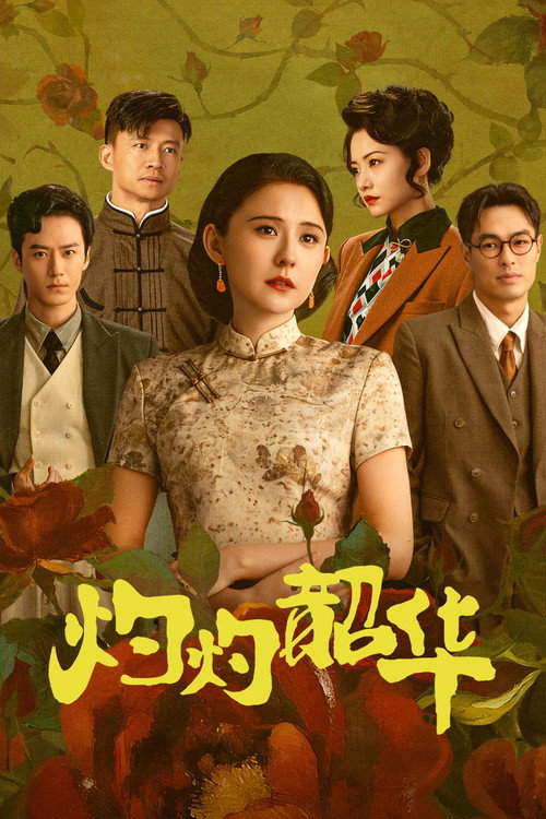 Póster de 灼灼韶华