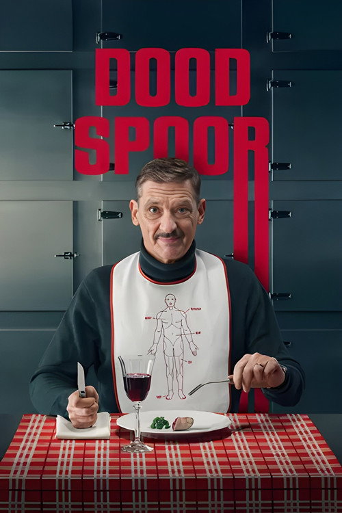 Póster de Dood Spoor