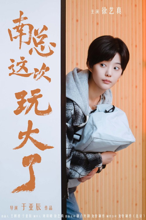 Póster de 南总这次玩大了
