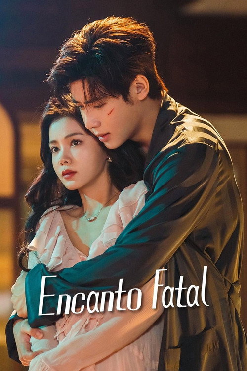 Póster de 非她不可