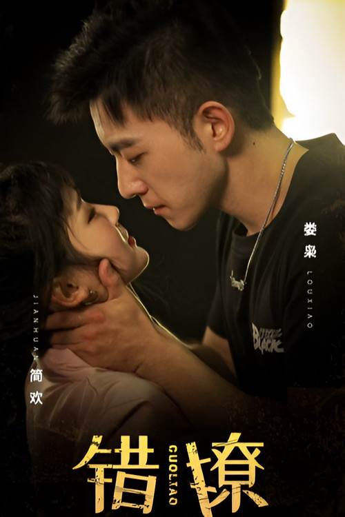 Póster de 错撩