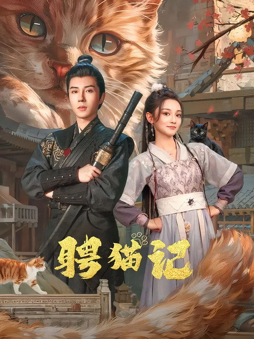 Póster de 聘猫记