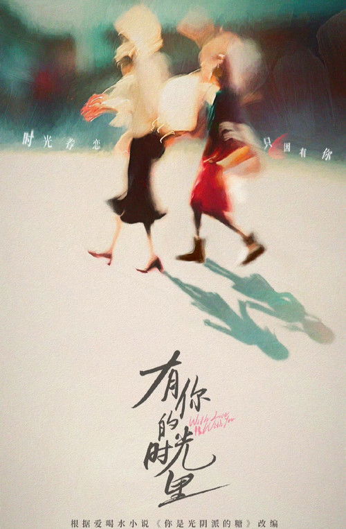 Póster de 有你的时光里