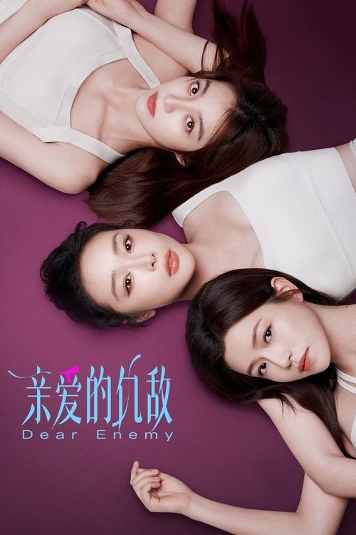 Póster de 亲爱的仇敌
