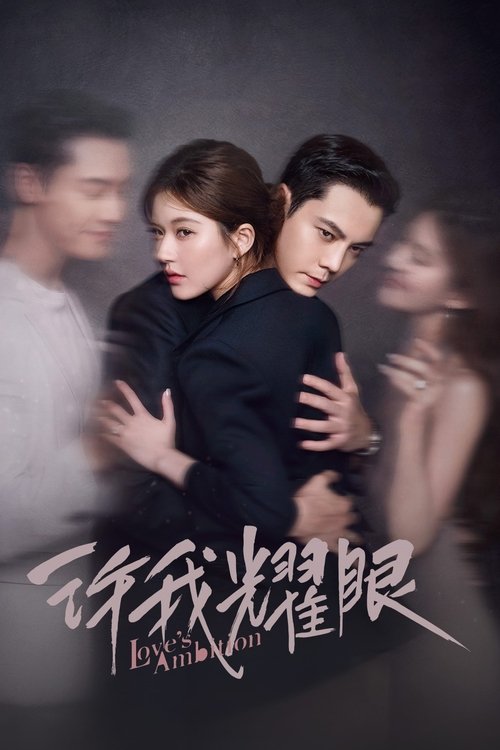 Póster de 许我耀眼