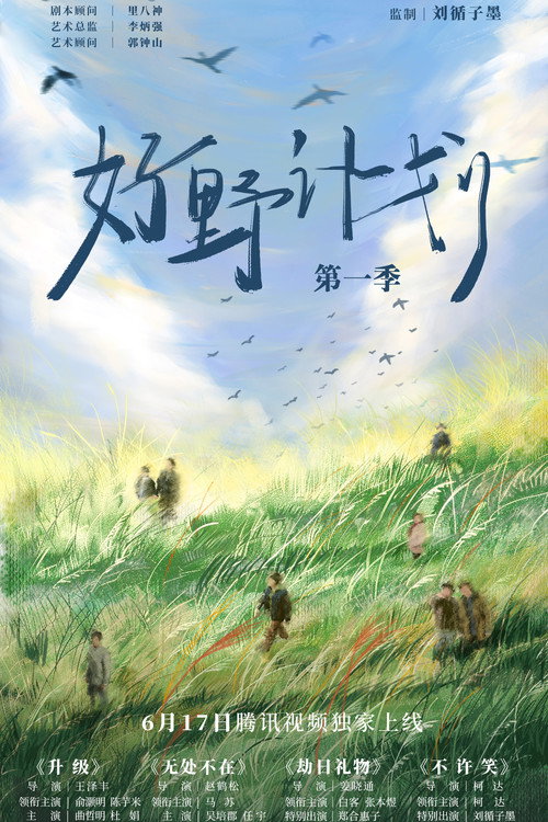 Póster de 好野计划
