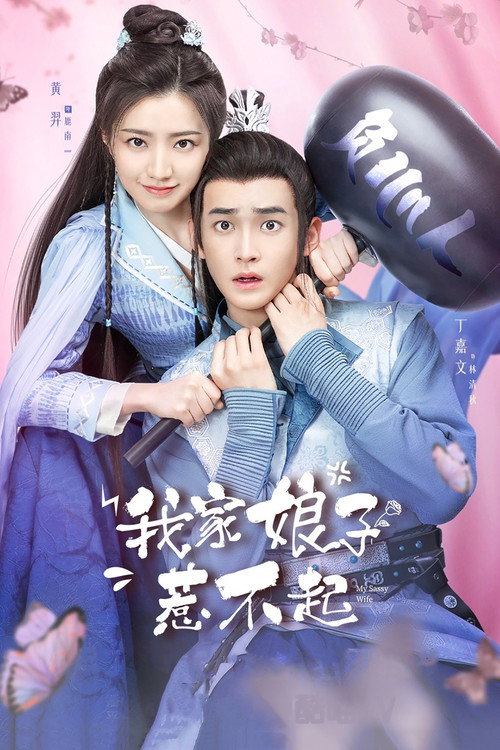 Póster de 我家娘子惹不起