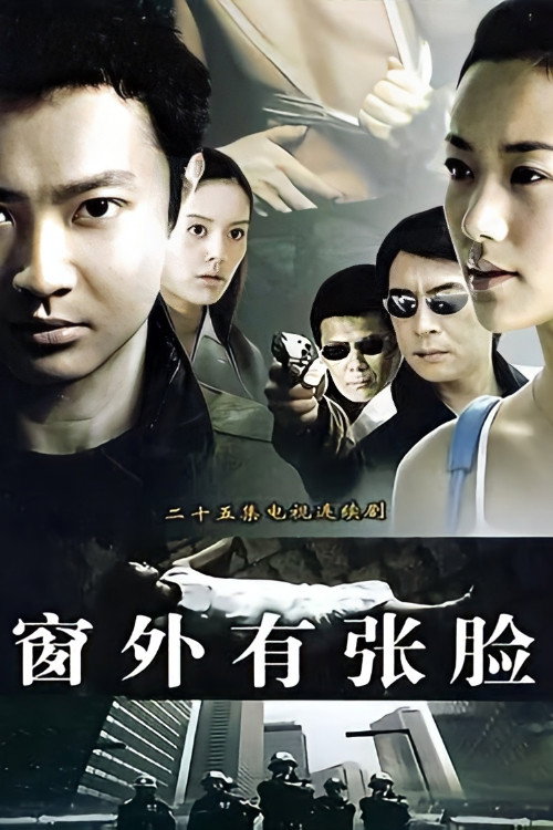 Póster de 窗外有张脸