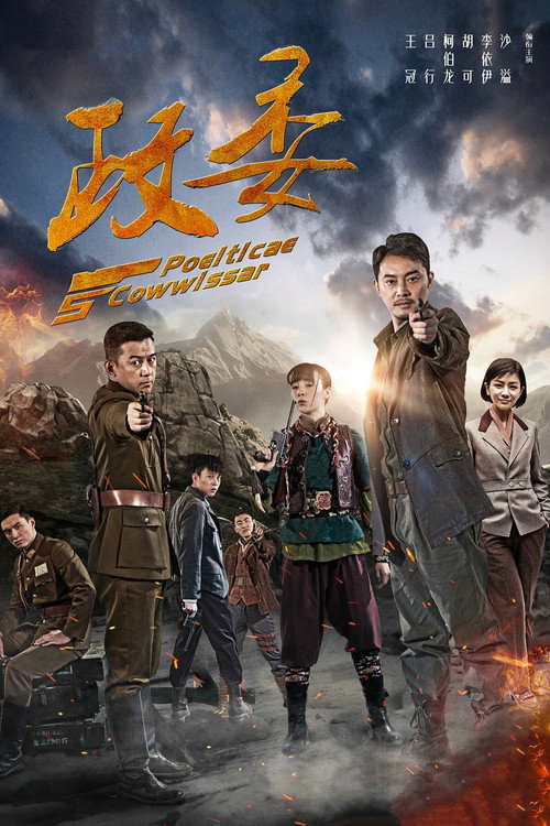 Póster de 政委