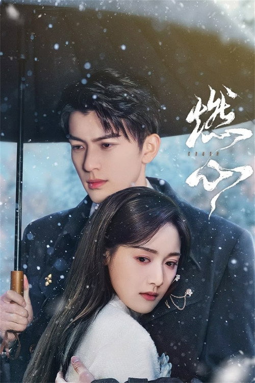 Póster de 燃心