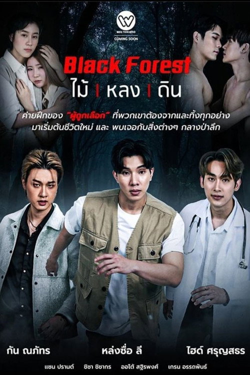 Póster de ไม้ หลง ดิน