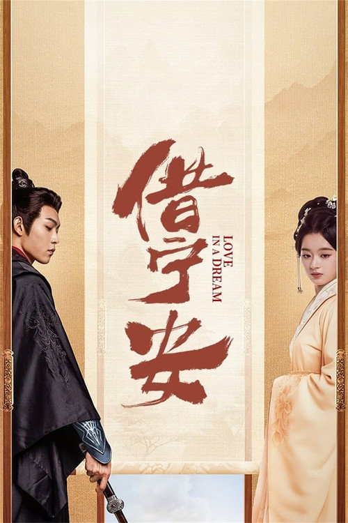 Póster de 借宁安