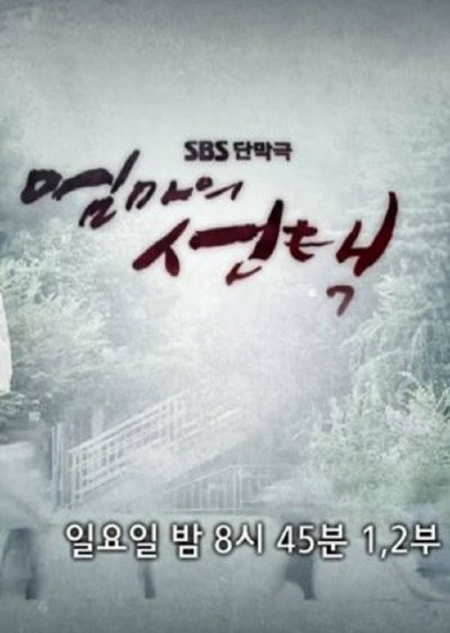 Póster de 엄마의 선택