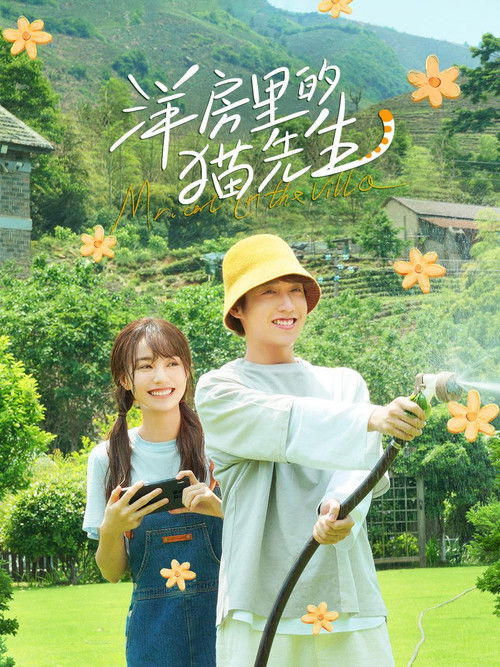Póster de 洋房里的猫先生