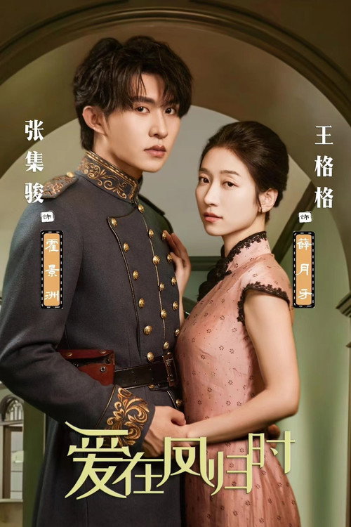 Póster de 爱在凤归时
