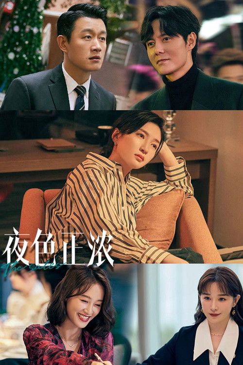 Póster de 夜色正浓