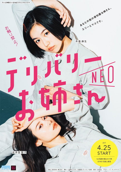 Póster de デリバリーお姉さんNEO
