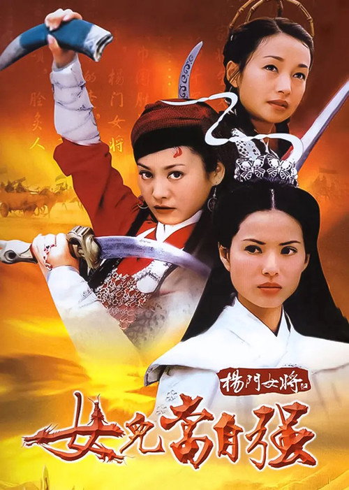 Póster de 杨门女将