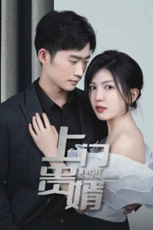 Póster de 上门贵婿