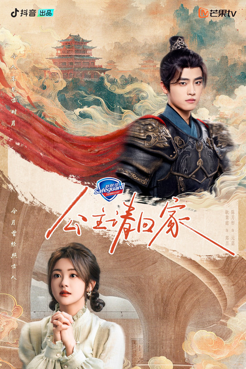 Póster de 公主请回家