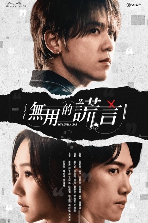 Póster de 無用的謊言