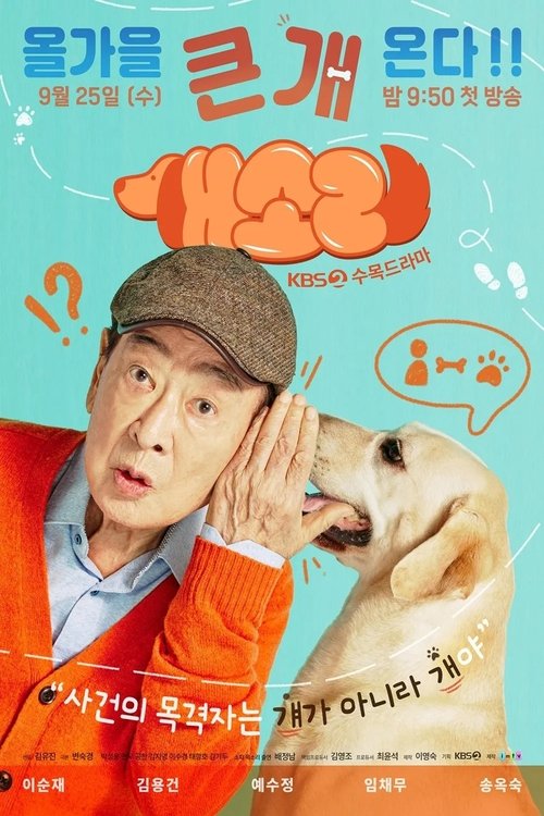 Póster de 개소리
