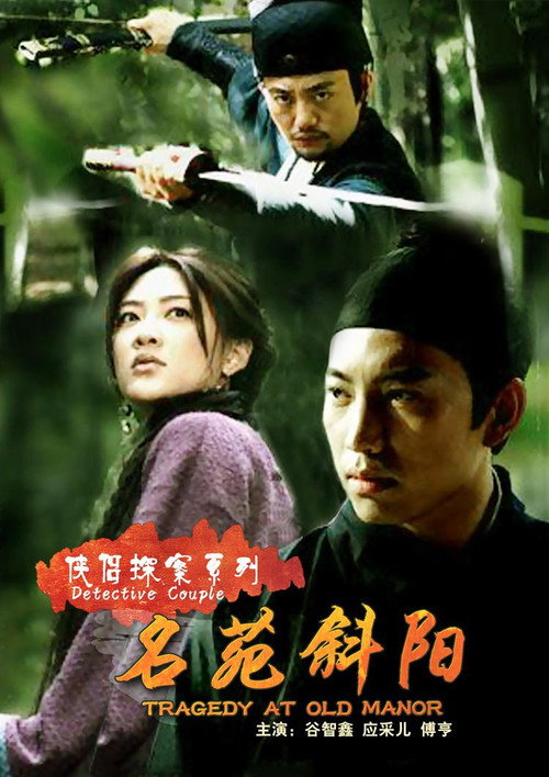 Póster de 侠侣探案