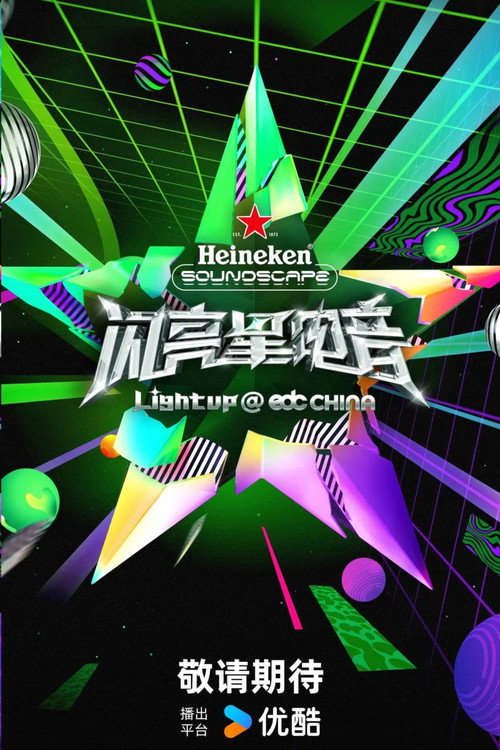 Póster de 闪亮星电音