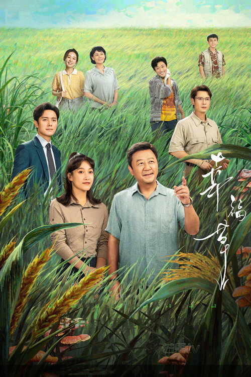 Póster de 幸福草