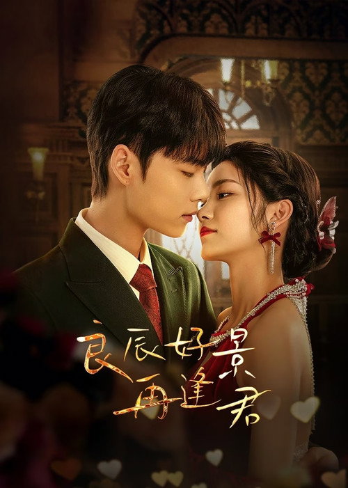 Póster de 良辰好景再逢君