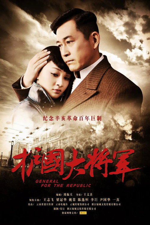 Póster de 护国大将军